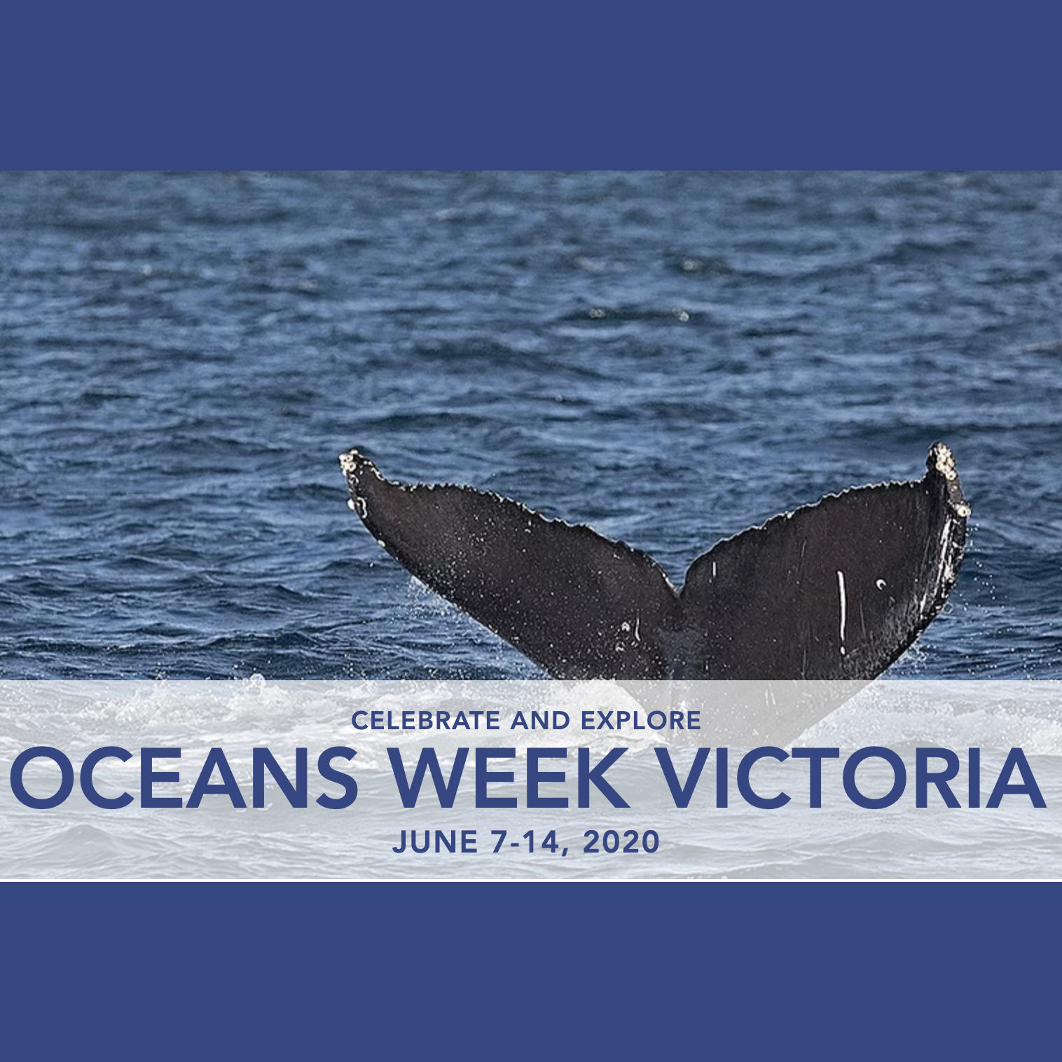 Ocean's week 2020