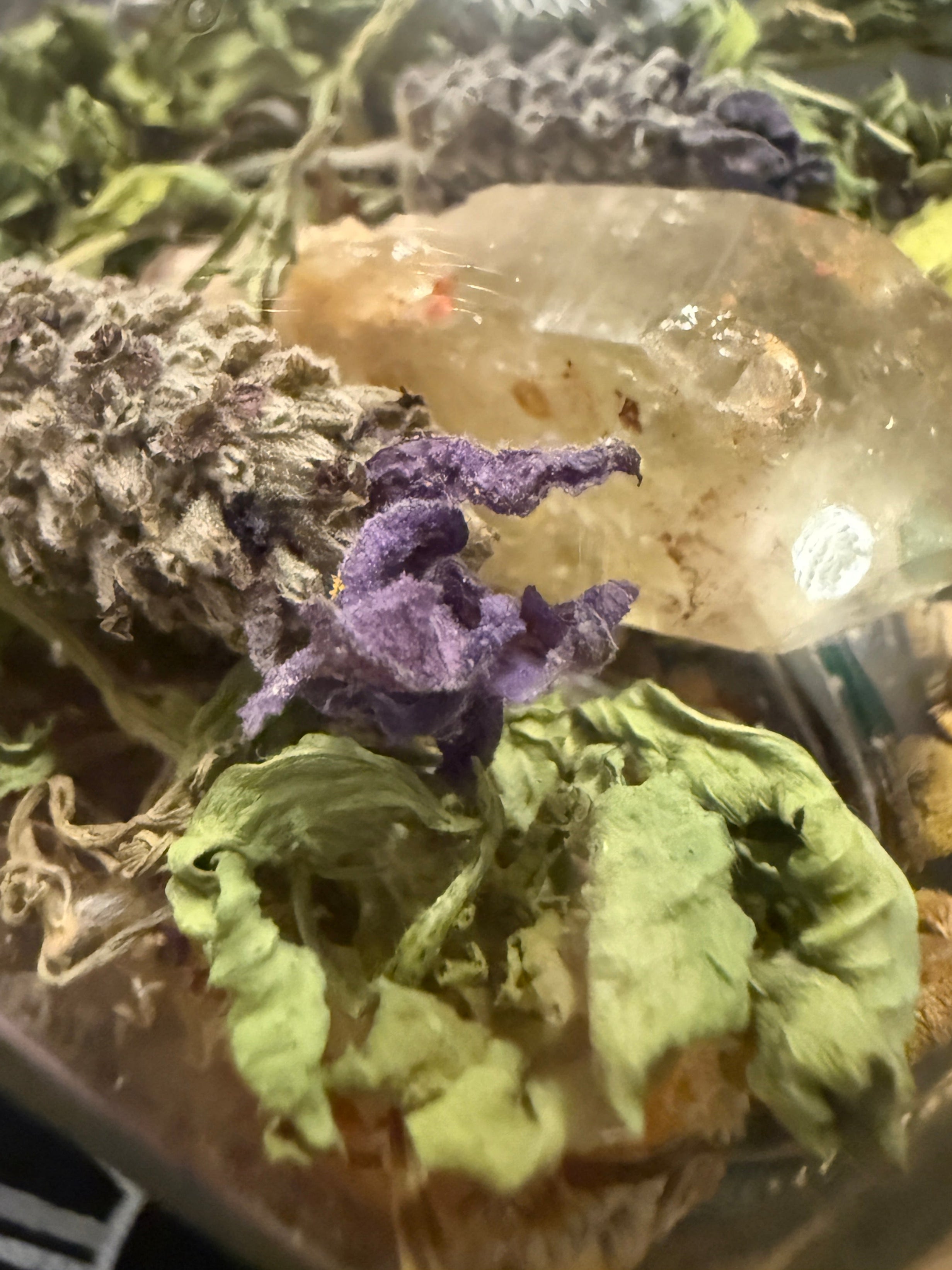 Herbal mix with dried herbs and a glass bottle on a dark surface